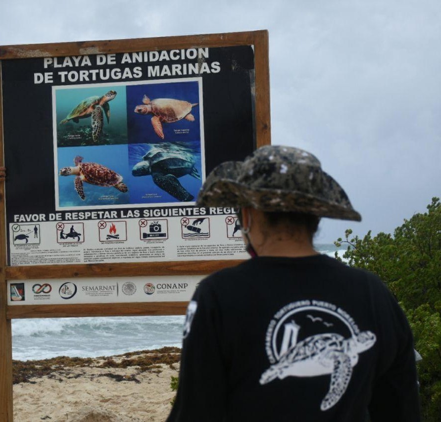 Letrero de anidación de tortugas CONANP